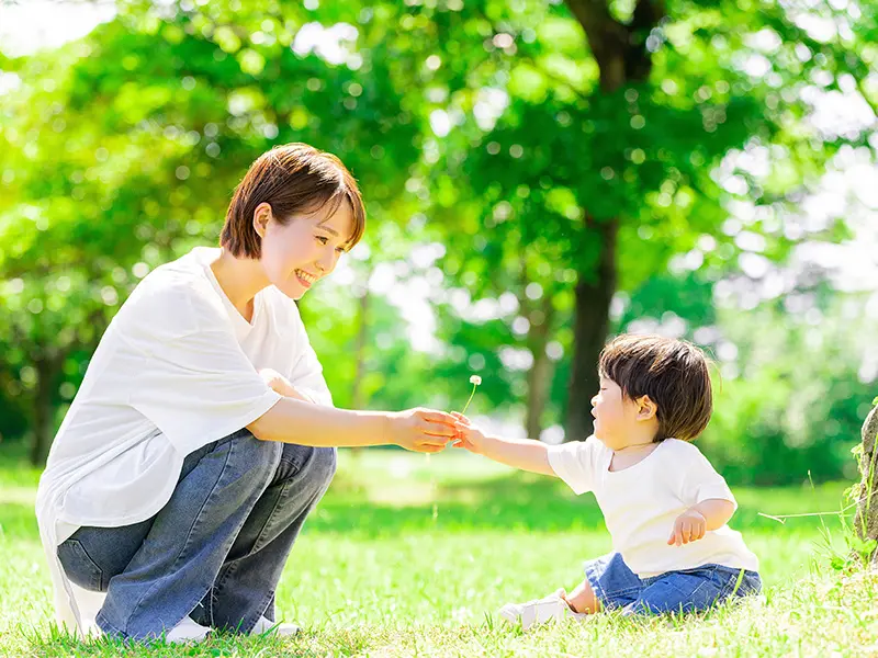 つみきについて